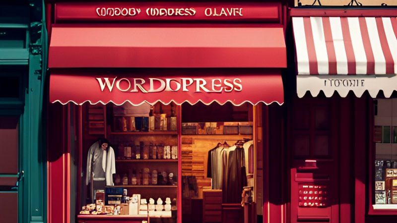 wordpress website ecommerce store